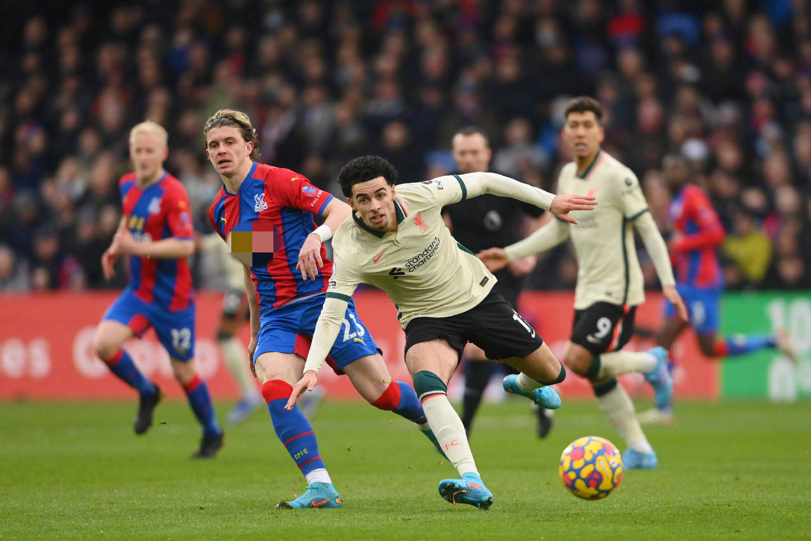 而有一定基 而有一定基